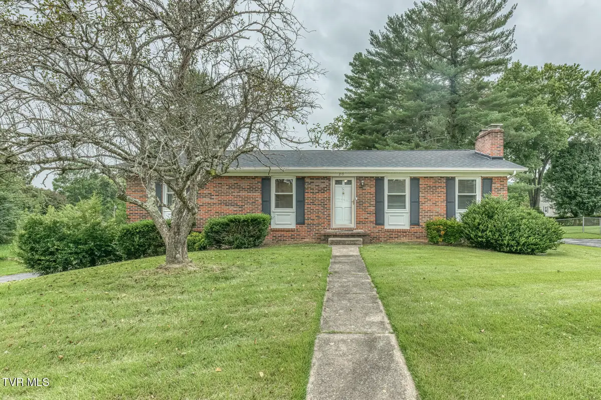 219 Kingston Road, Blountville, TN 37617 - #1