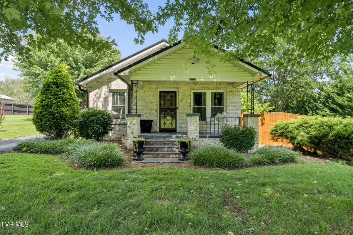 1703 Southwest Avenue, Johnson City, TN 37604 - #1