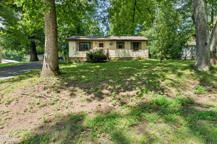 127 Hallborough Drive, Jonesborough, TN 37659 - #2