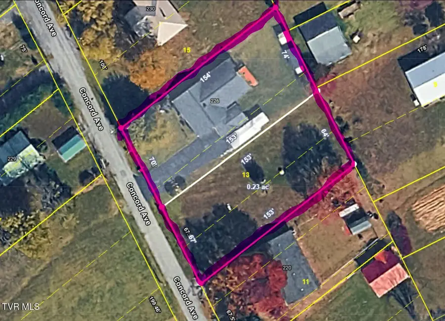 226 Concord Avenue, Mount Carmel, TN 37645 - #2