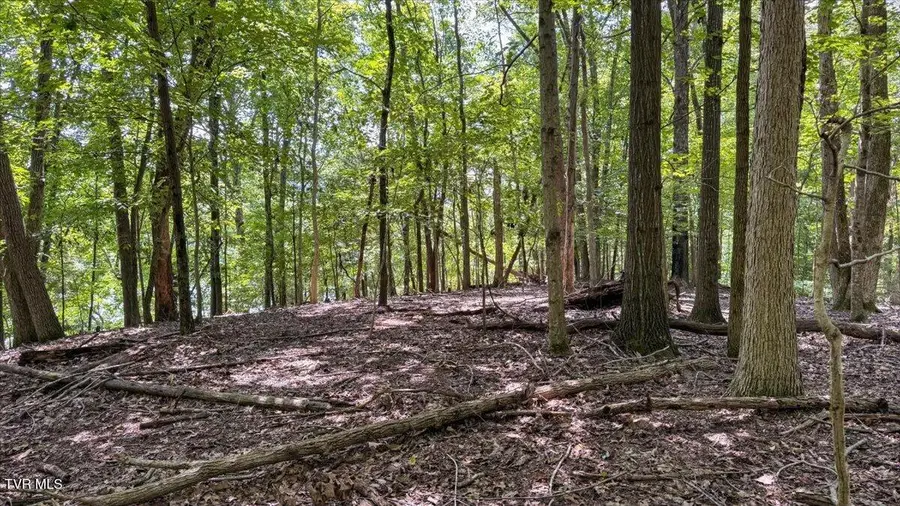 Lot 1 Lake Point Drive, Piney Flats, TN 37686 - #3
