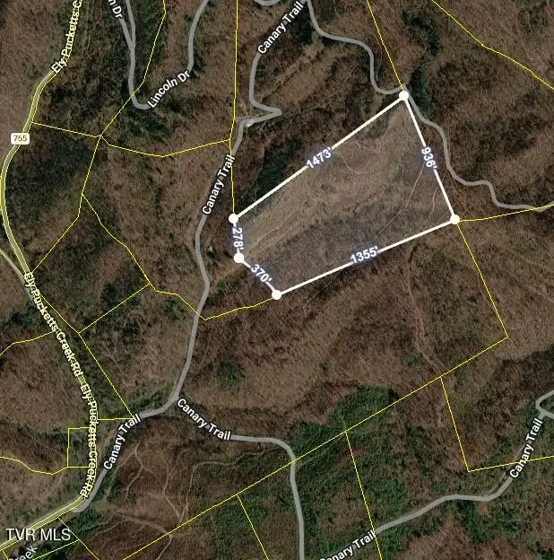 Tbd Canary Trail, Pennington Gap, VA 24277 - #2