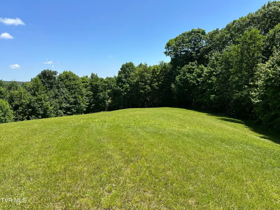 348 Coalpit Branch Drive, Dungannon, VA 24245 - #2