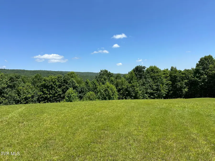 348 Coalpit Branch Drive, Dungannon, VA 24245 - #3
