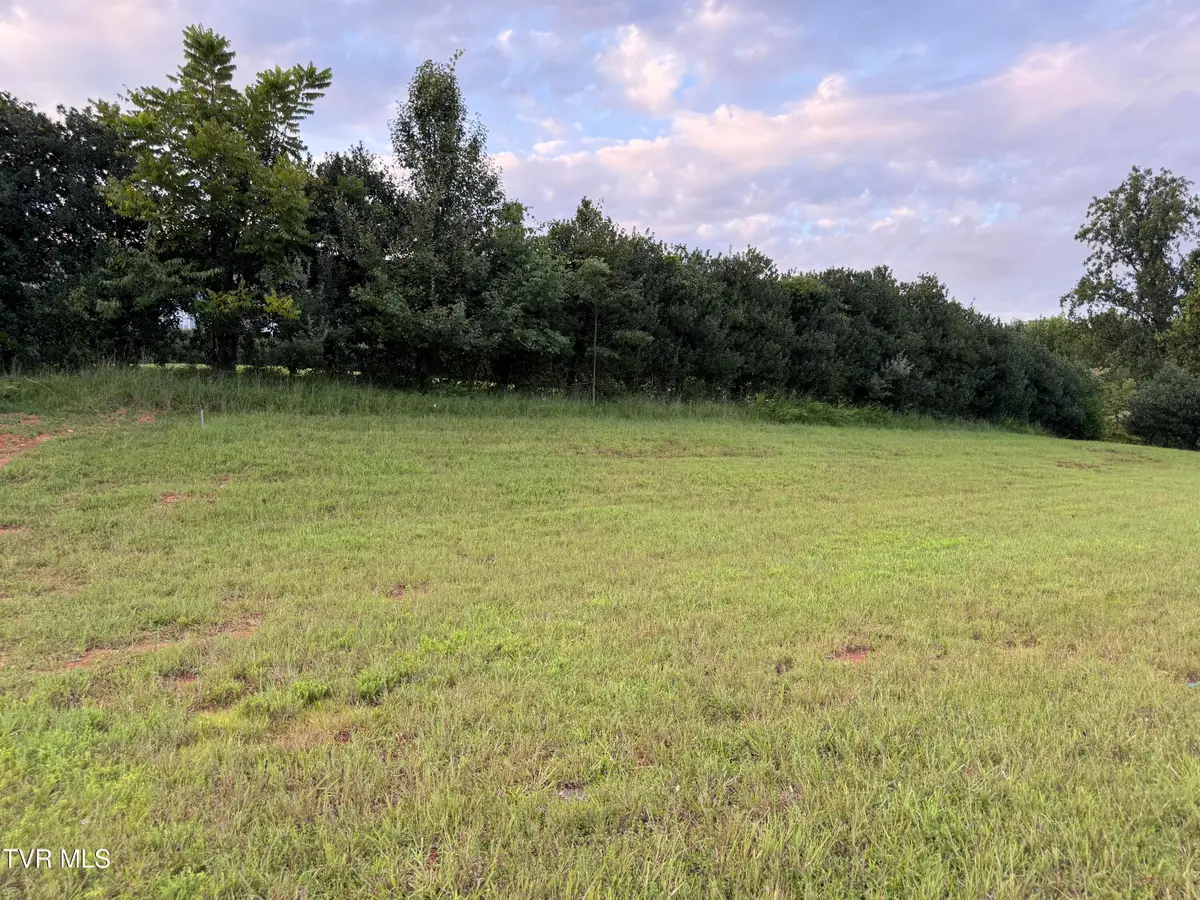 291 Old Island Trail, Kingsport, TN 37664 - #1