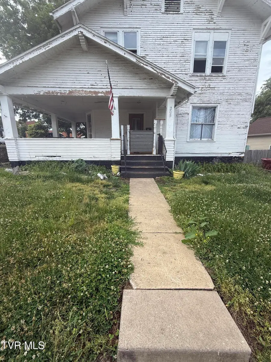 205 West Watauga Avenue, Johnson City, TN 37604 - #3