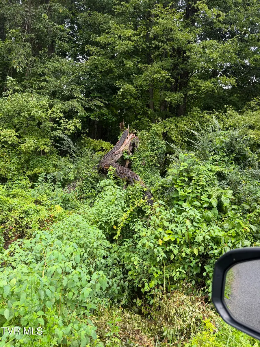 110 Daddy Moore Road, Unicoi, TN 37692 - #2