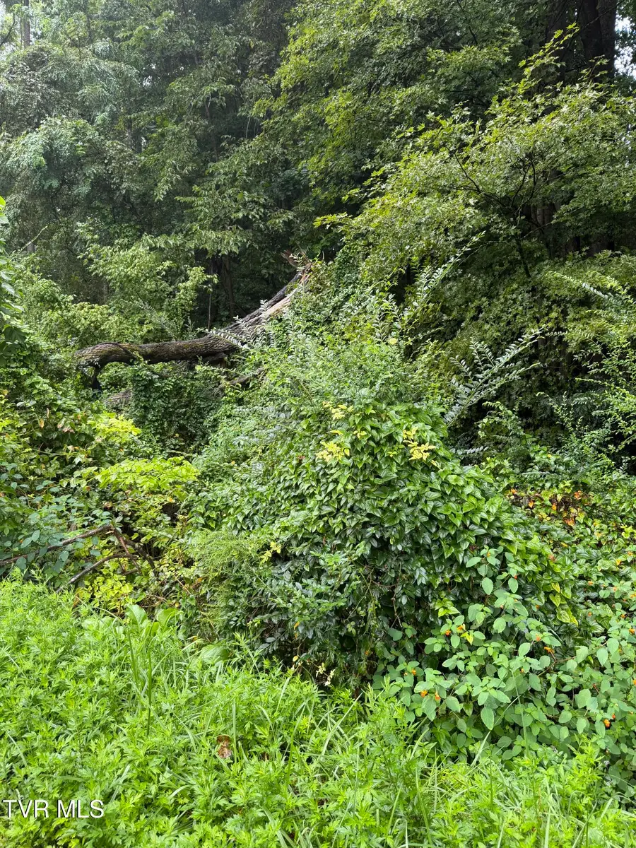 110 Daddy Moore Road, Unicoi, TN 37692 - #3