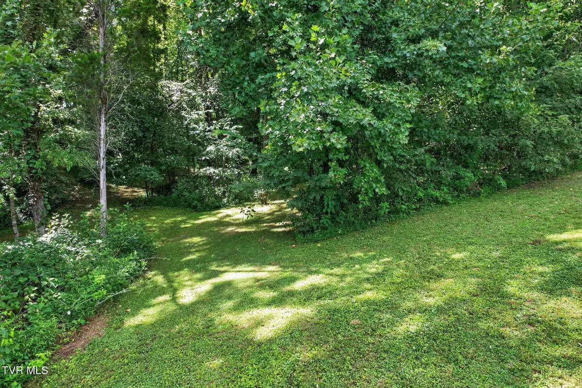 Tbd Landcastle Avenue, Church Hill, TN 37642 - #1