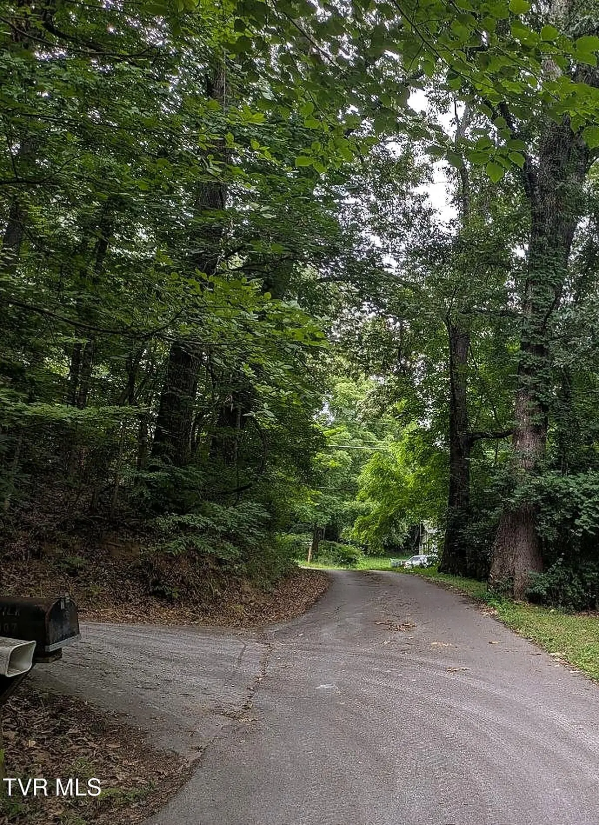 110 Hillsboro Drive, Elizabethton, TN 37643 - #1