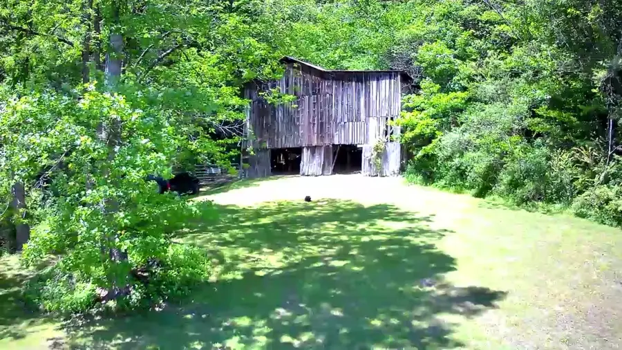 Tbd Old Asheville Hwy, Erwin, TN 37650 - #3