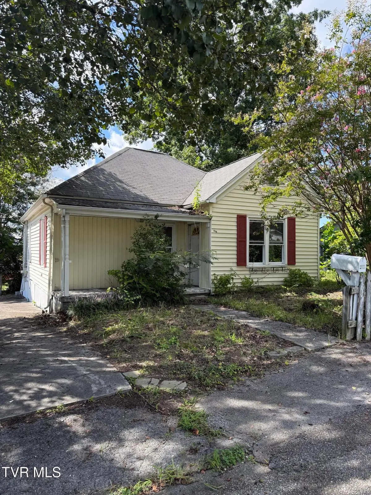 201 Elizabeth Street, Bristol, TN 37620 - #1