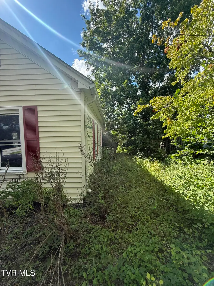 201 Elizabeth Street, Bristol, TN 37620 - #3