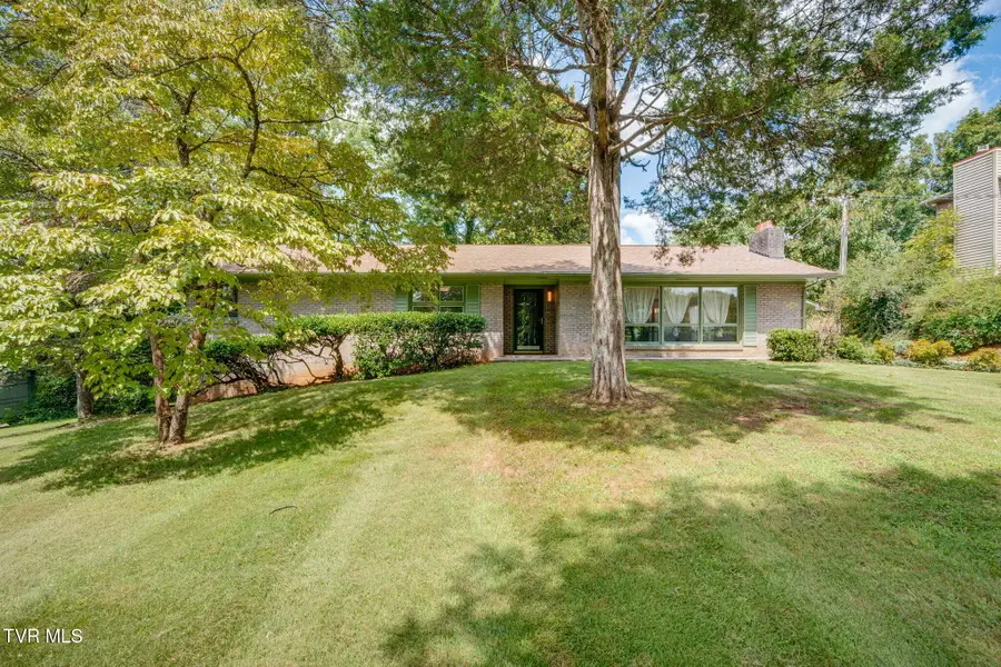 730 Outer Drive, Rogersville, TN 37857 - #2