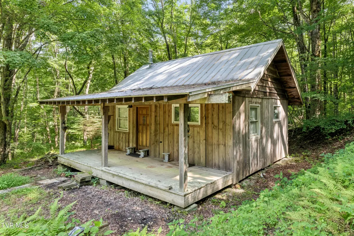 Tbd Rustic Log Cabin Lane, Roan Mountain, TN 37687 - #1