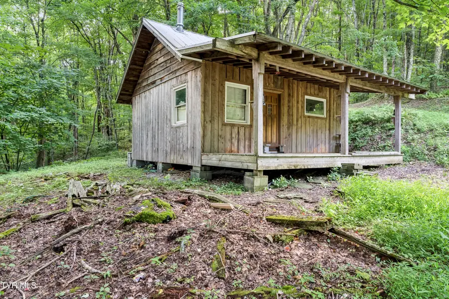Tbd Rustic Log Cabin Lane, Roan Mountain, TN 37687 - #3