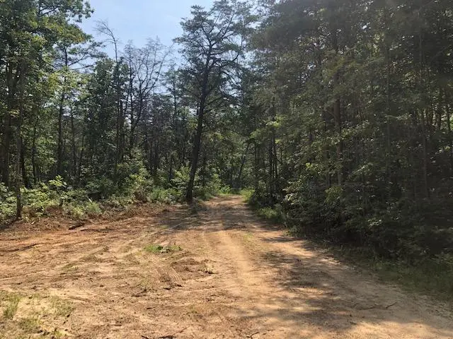 026 Dogwood Flat Road, Pikeville, TN 37367 - Image #1