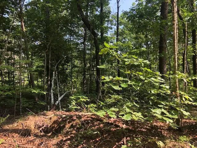 026 Dogwood Flat Road, Pikeville, TN 37367 - Image #2