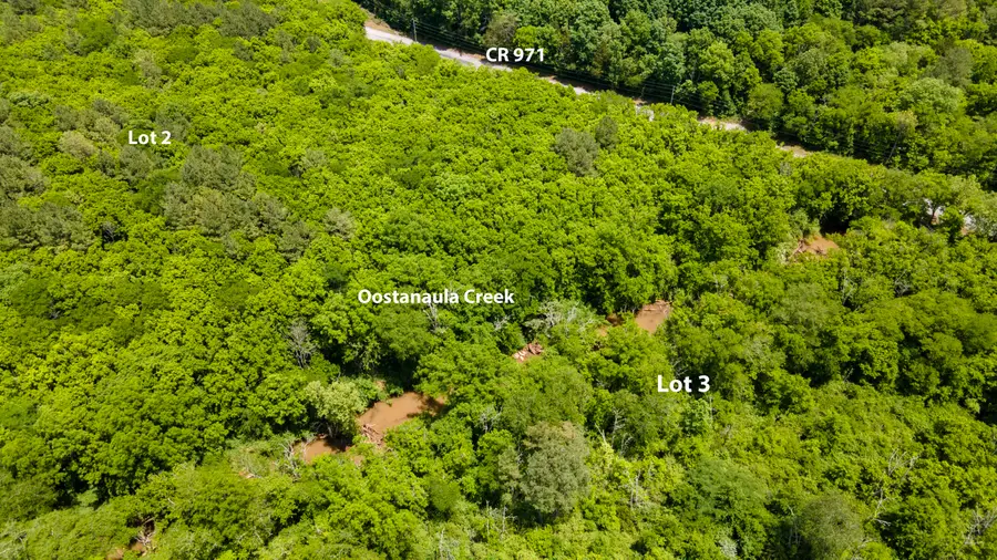 Lot 3 State Highway 163, Calhoun, TN 37309 - #2