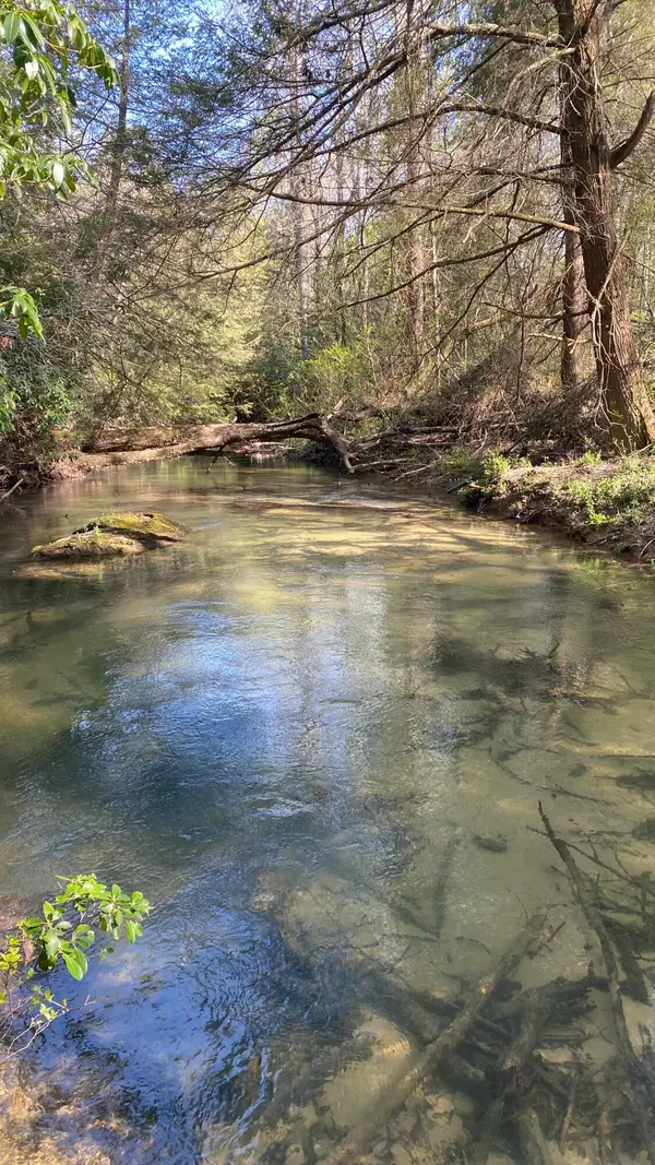 56 Tn-56, Altamont, TN 37301