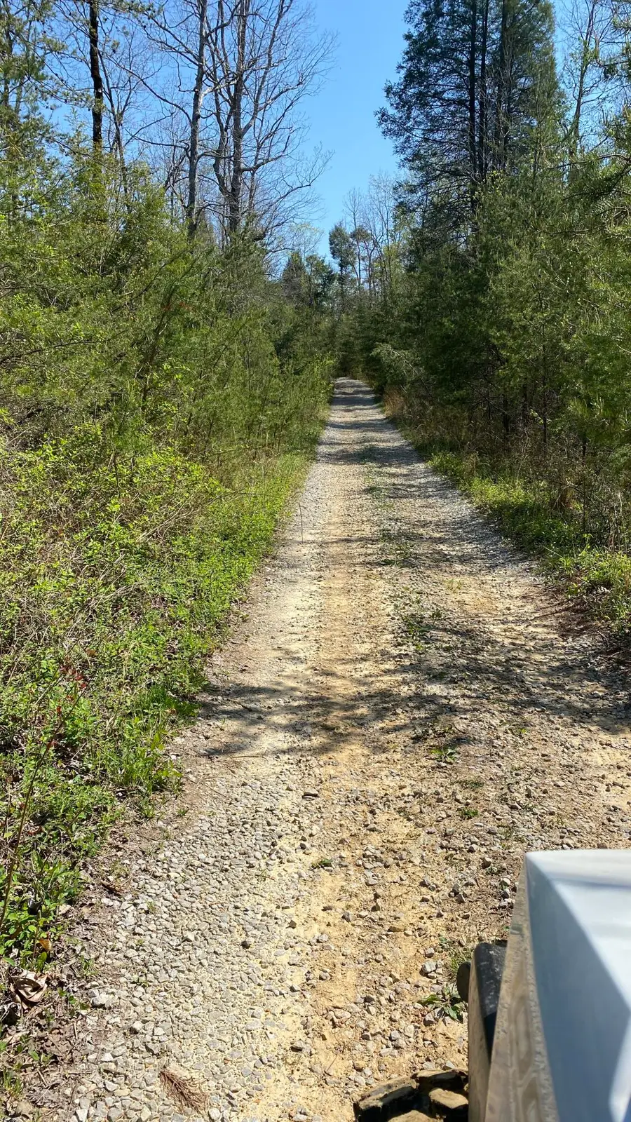 56 Tn-56, Altamont, TN 37301 - Image #3