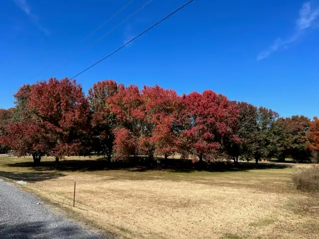 9733 Snow Hill Road, Ooltewah, TN 37363 - Image #3