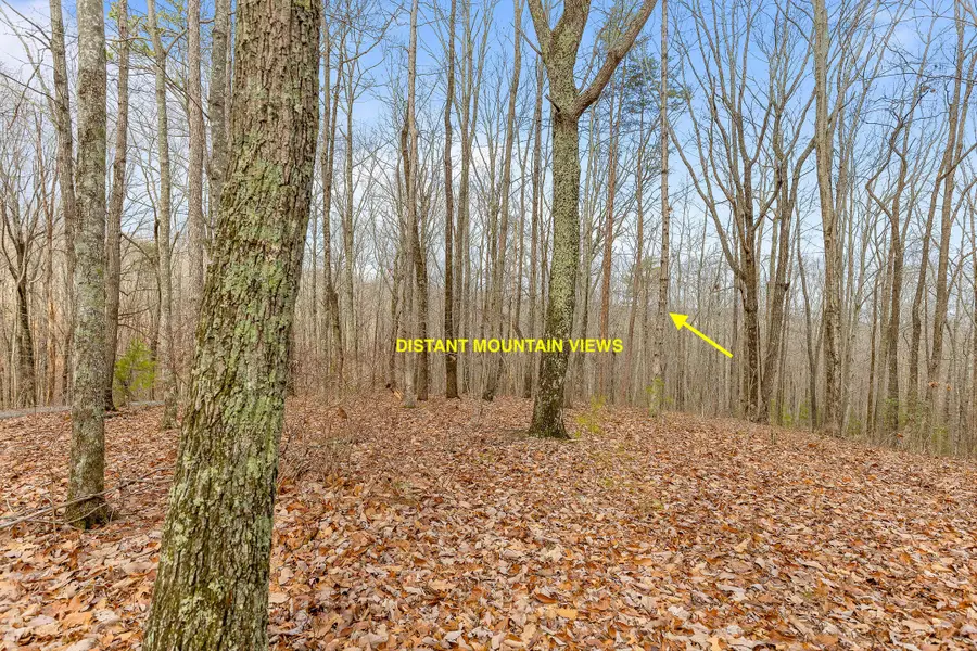 0 Lookout Crest Lane #1, Lookout Mountain, GA 30750 - Image #3