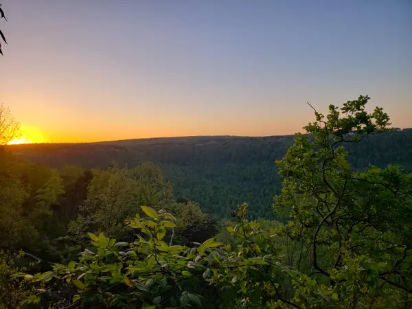 0 Crockett Pointe #Jf161, Jasper, TN 37347