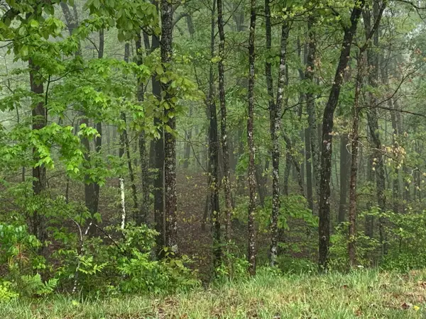 225 Prospectors Way #Rb-223, Jasper, TN 37347