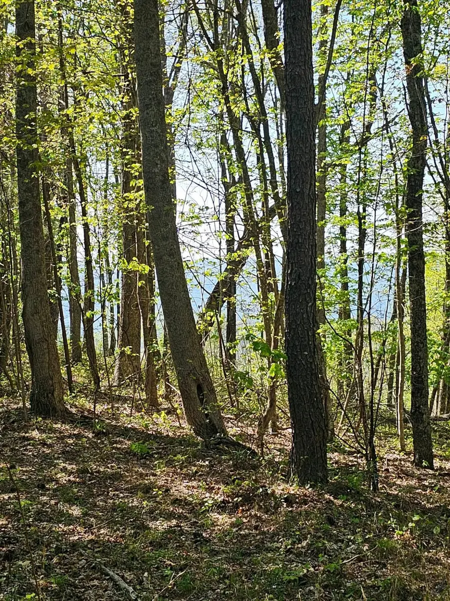 0 Waterwheel Way #337, Jasper, TN 37347 - Image #3