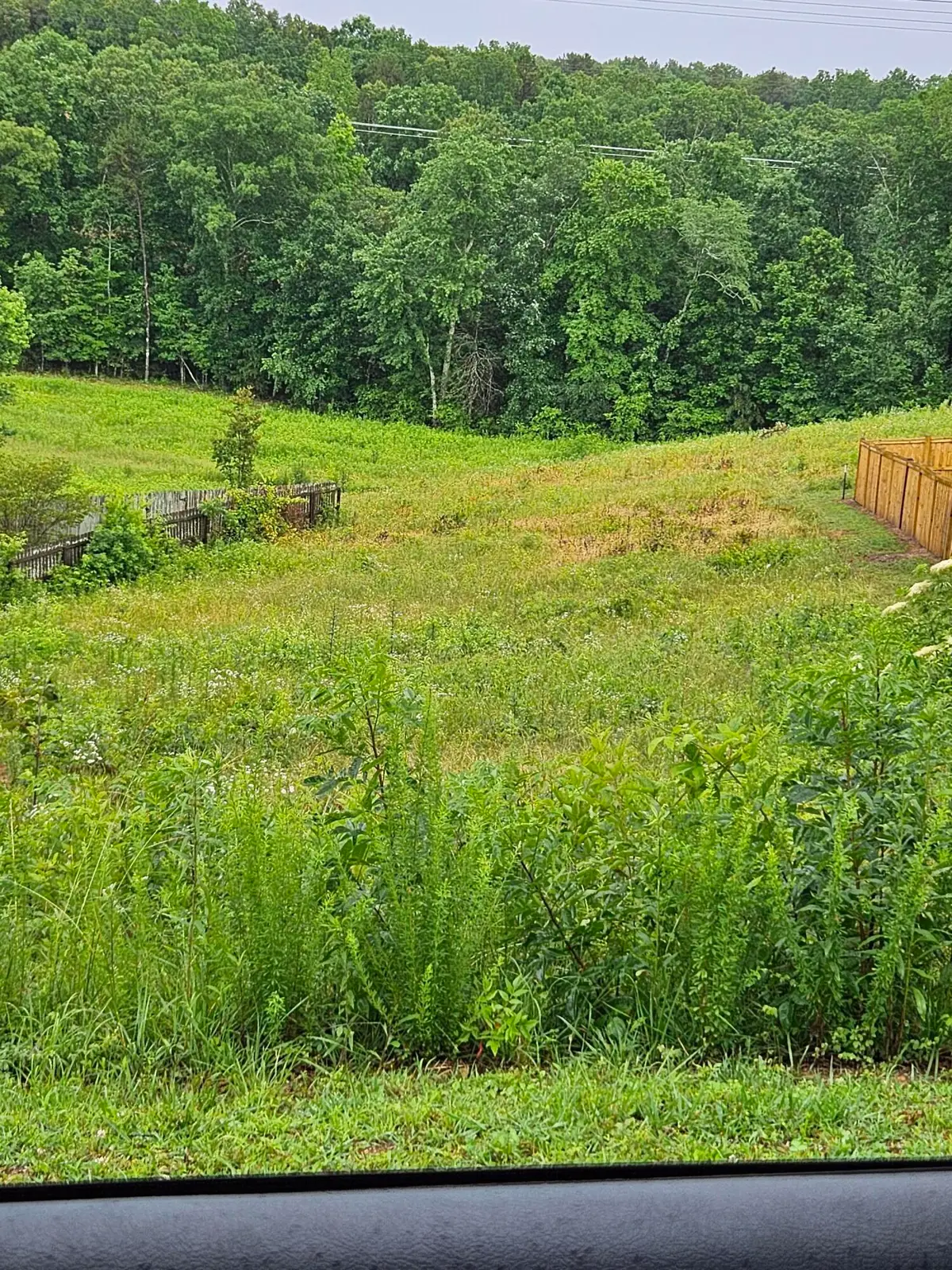 1724 Magnum Lane #12, Soddy Daisy, TN 37379 - #1