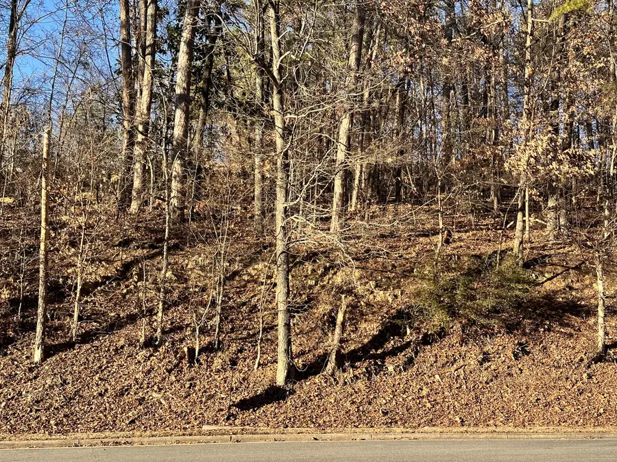 0 W Crest Road, Rossville, GA 30741 - Image #3