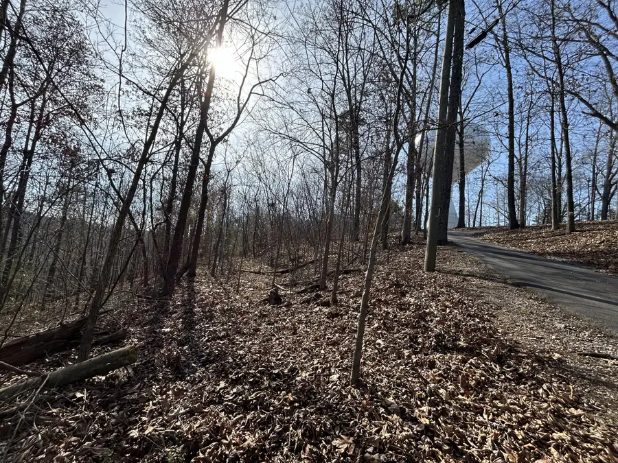 0 Julian Ridge Road, Chattanooga, TN 37421 - Image #3