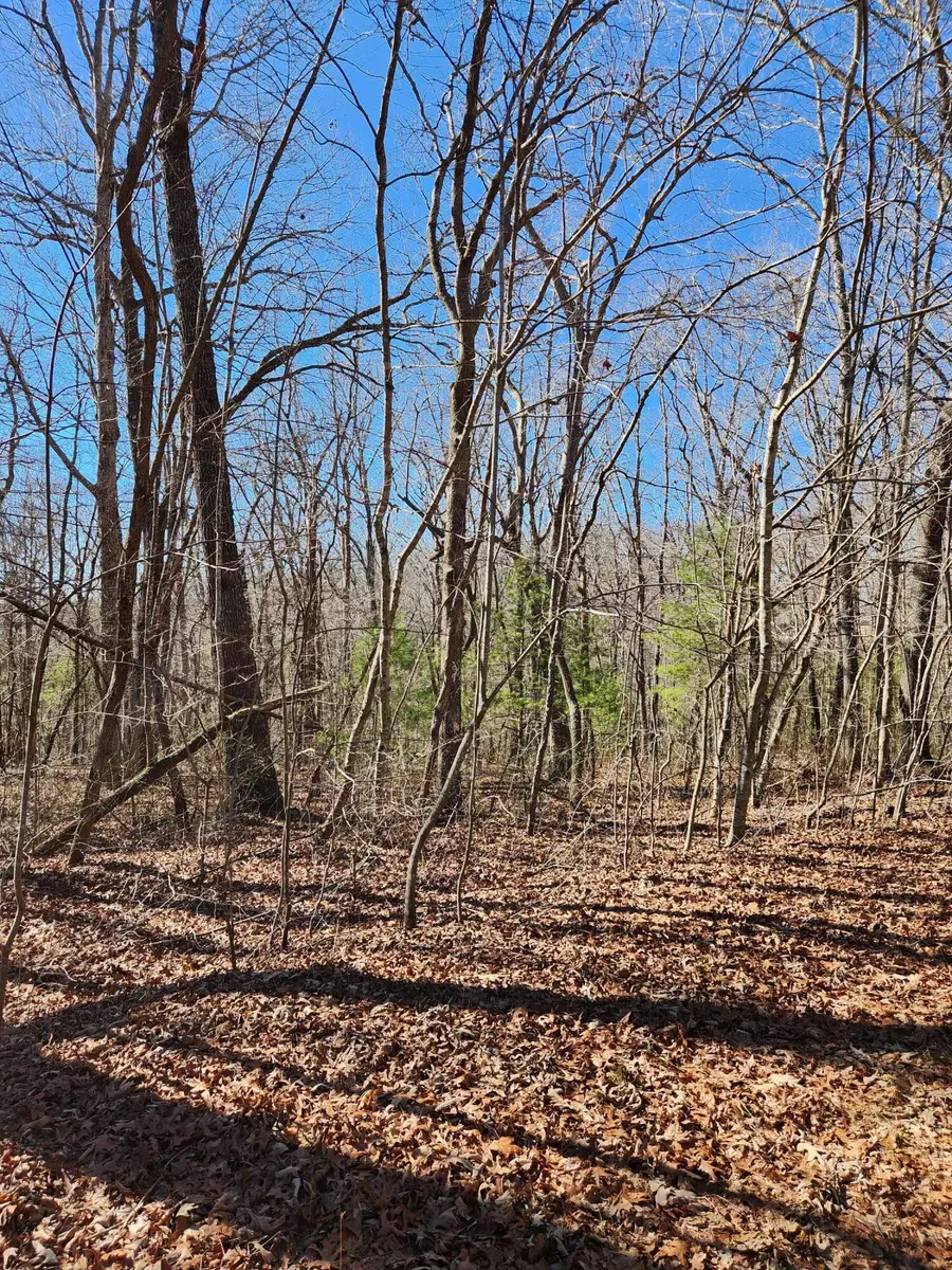 18 Devon Loop #18, Crossville, TN 38558 - Image #2