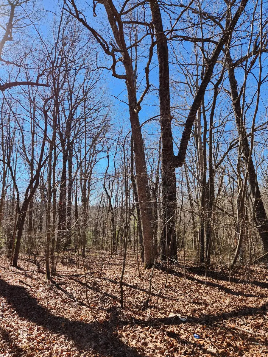 22 Devon Loop #22, Crossville, TN 38558 - Image #3