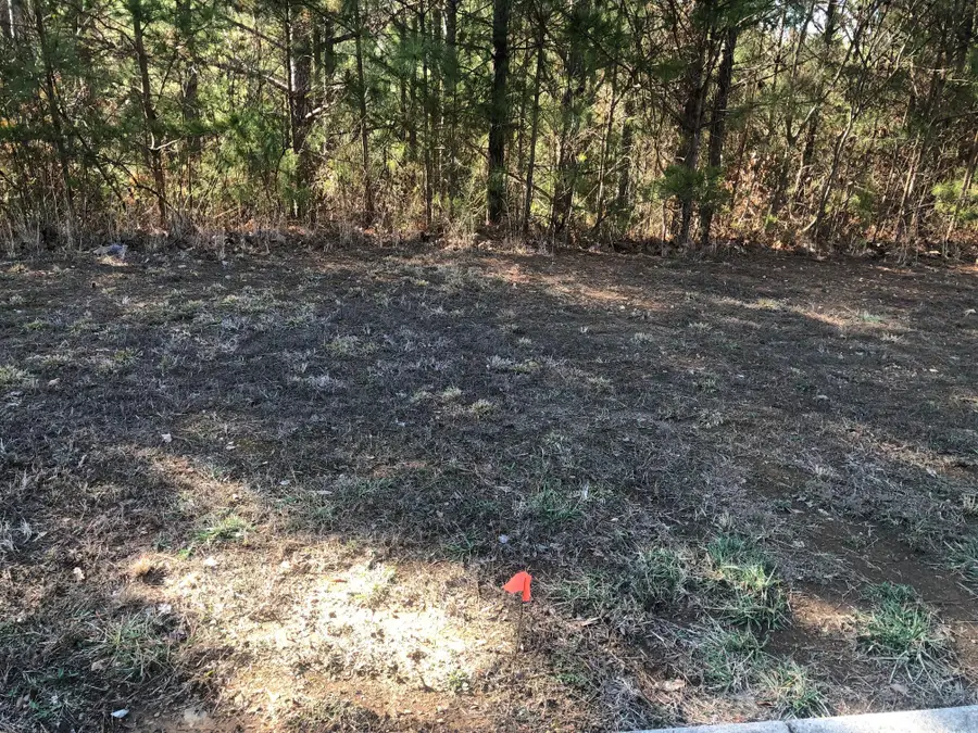 147 Cherokee Ridge Drive, Ocoee, TN 37361 - Image #2