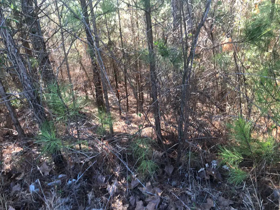 147 Cherokee Ridge Drive, Ocoee, TN 37361 - Image #3