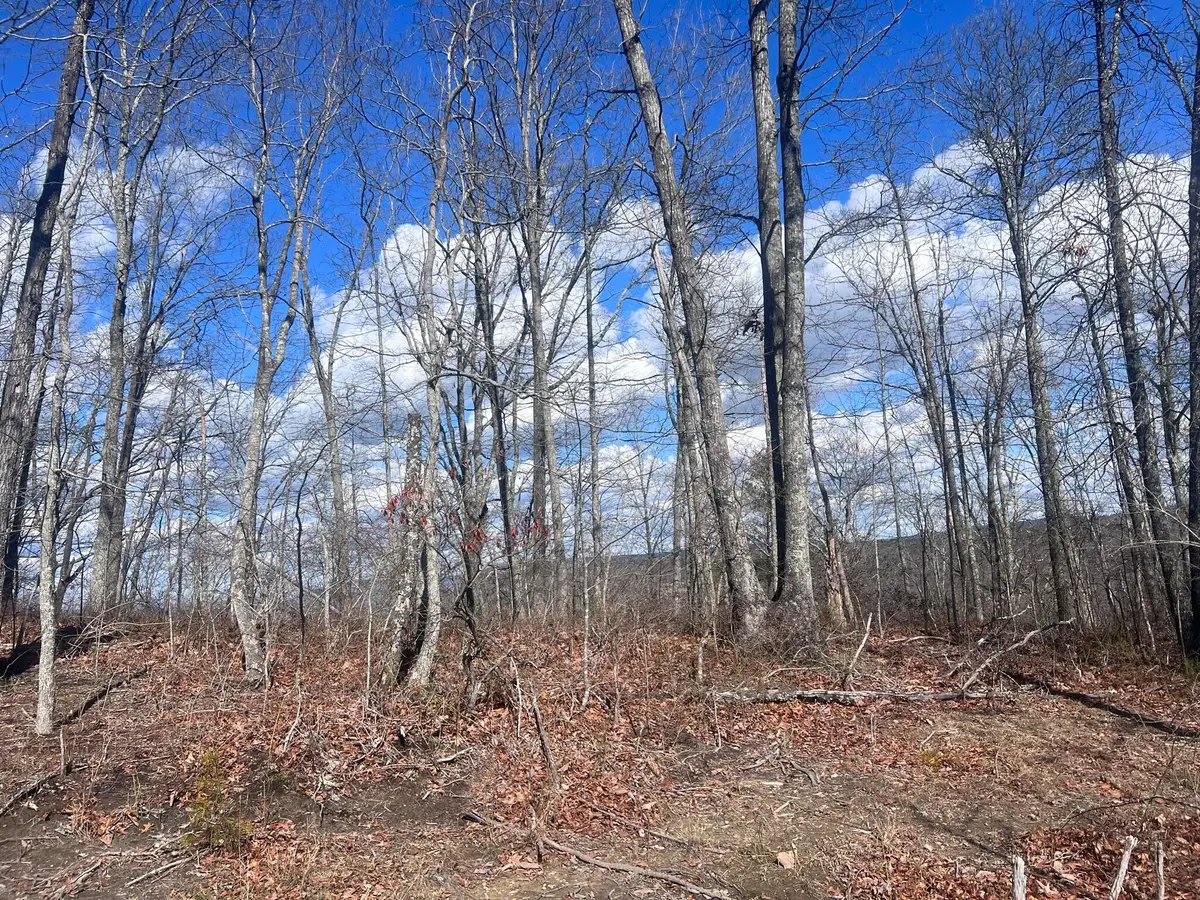 0 Salolee Lane #227, New Hope, TN 37380 - Image #1