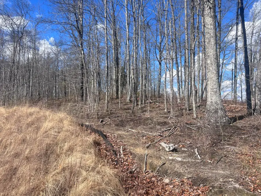 0 Salolee Lane #227, New Hope, TN 37380 - Image #3