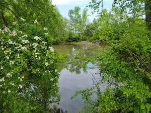 00 Scoggins Lane, Dayton, TN 37321 - #3