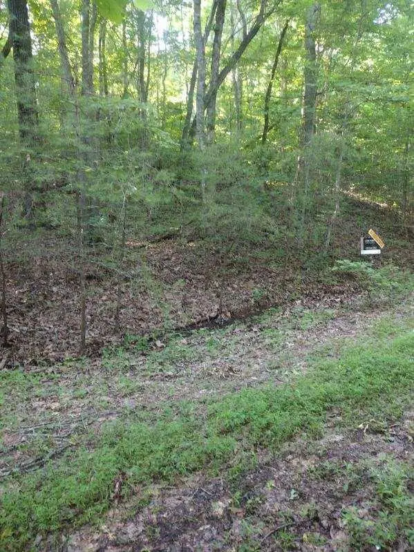 2 Boulder Drive, Dunlap, TN 37327 - Image #3