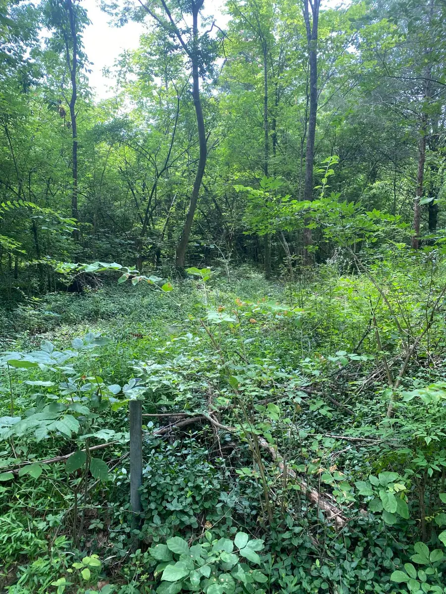 0 Mccahill Road, Chattanooga, TN 37415 - Image #2