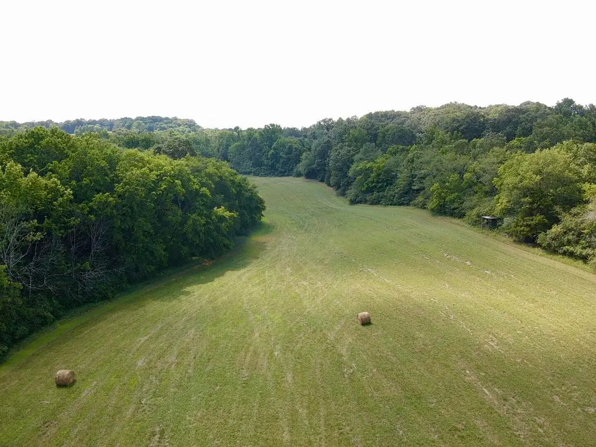 0 County Road 494, Bryant, AL 35958 - Image #1