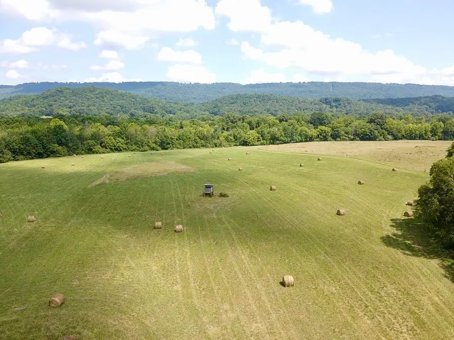 0 County Road 494, Bryant, AL 35958 - Image #2