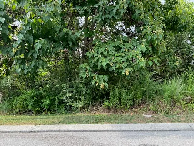 2118+2112 Short Leaf Lane #(Lots 66+67), Soddy Daisy, TN 37379 - Image #2