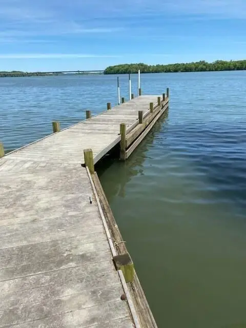 2487 Burton Road, Sale Creek, TN 37373 - Image #3