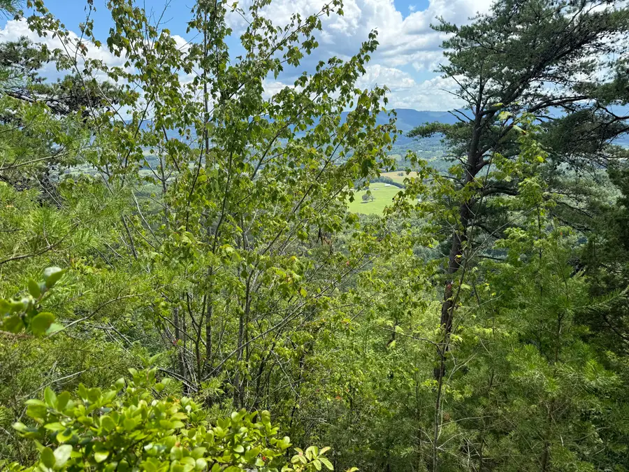 00 Mountain Lake Circle #55, Pikeville, TN 37367 - Image #2