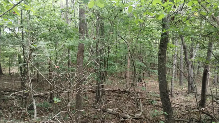 0 Houston Valley Road, Ringgold, GA 30736 - Image #2