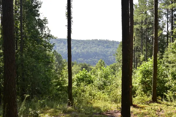 0 Split Rail Way #1371, Guild, TN 37340