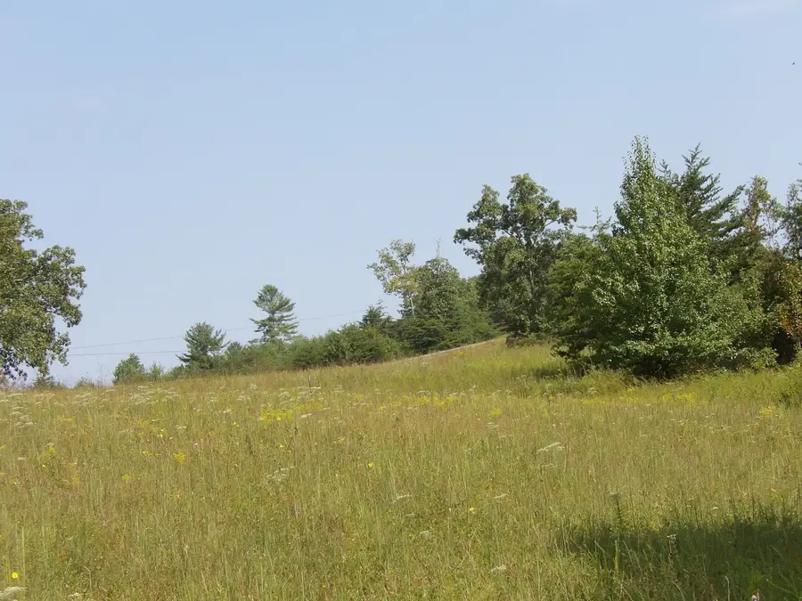 000 Mountain View Drive #20, Deer Lodge, TN 37726 - Image #2